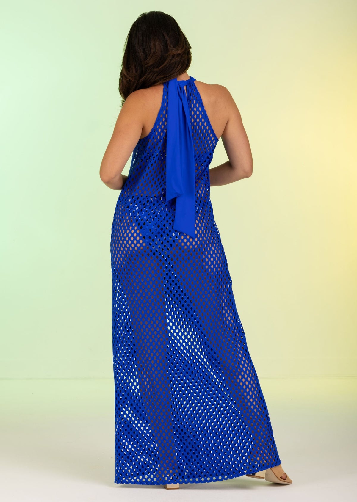 Royal Long Mesh Halter Dress (439c)